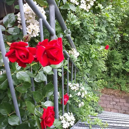 Apartmán Idyll In Ammerseenaehe Mit Suedbalkon Windach