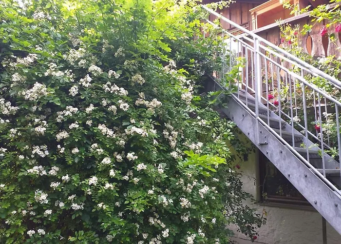 Idyll In Ammerseenaehe Mit Blick Ins Gruene Appartamento *